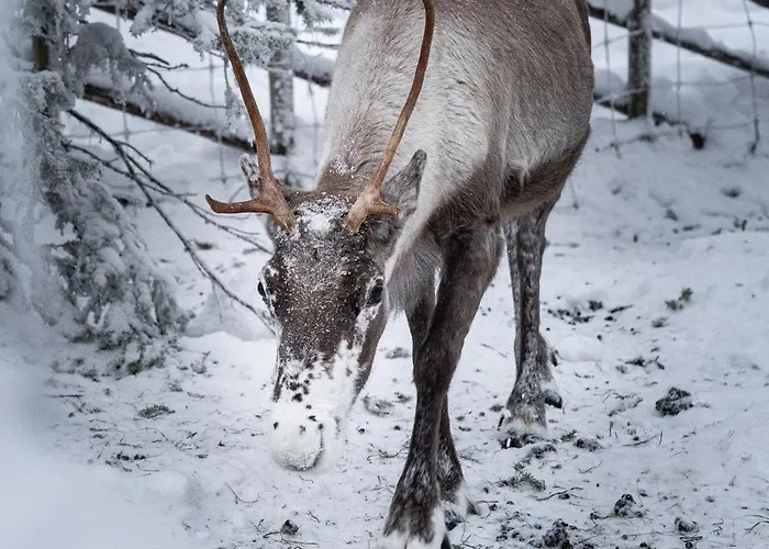 아파트 North Solace 22d By Hilla *